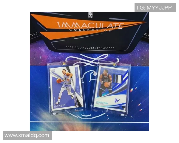 英超足球帕尼尼球星卡珍藏版大解析与市场价值趋势分析